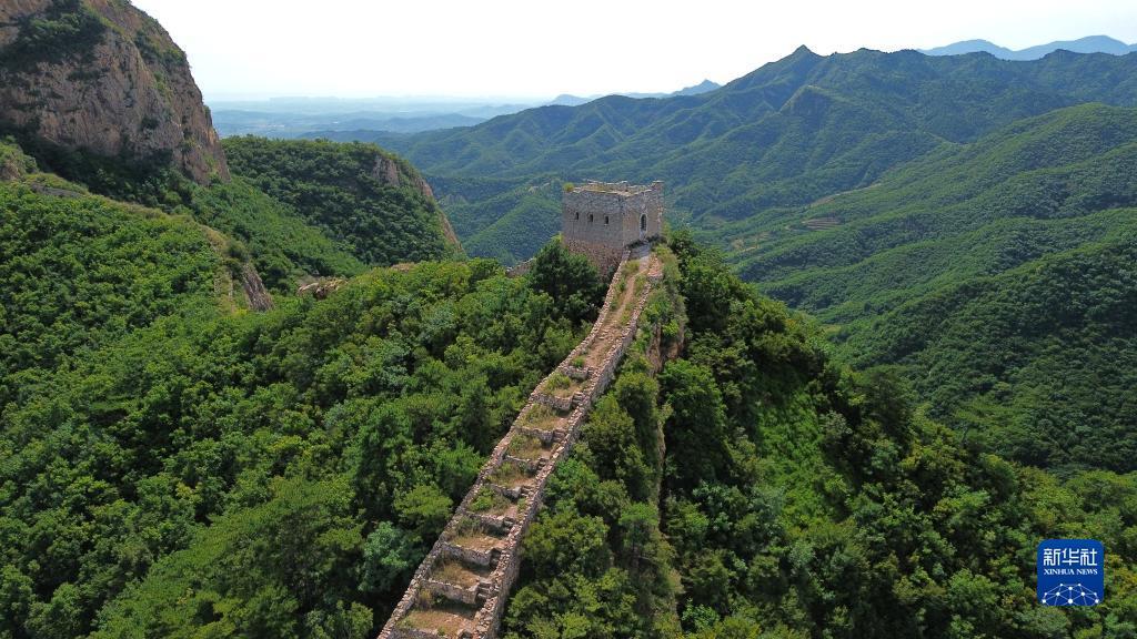 天臣娱乐手机客户端